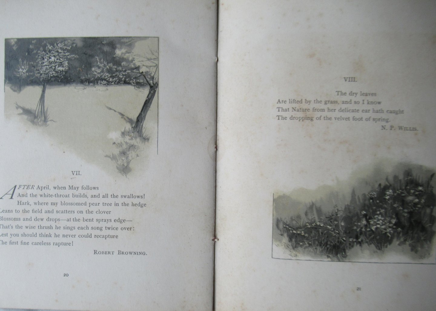 Nesbit, E. - Gift, Theo -  Brooke, Caris - Spring Songs and Sketches