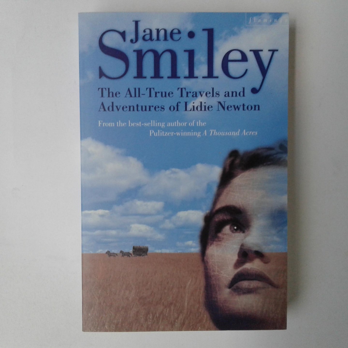 Smiley, Jane - The All-True Travels and Adventures of Lidie Newton