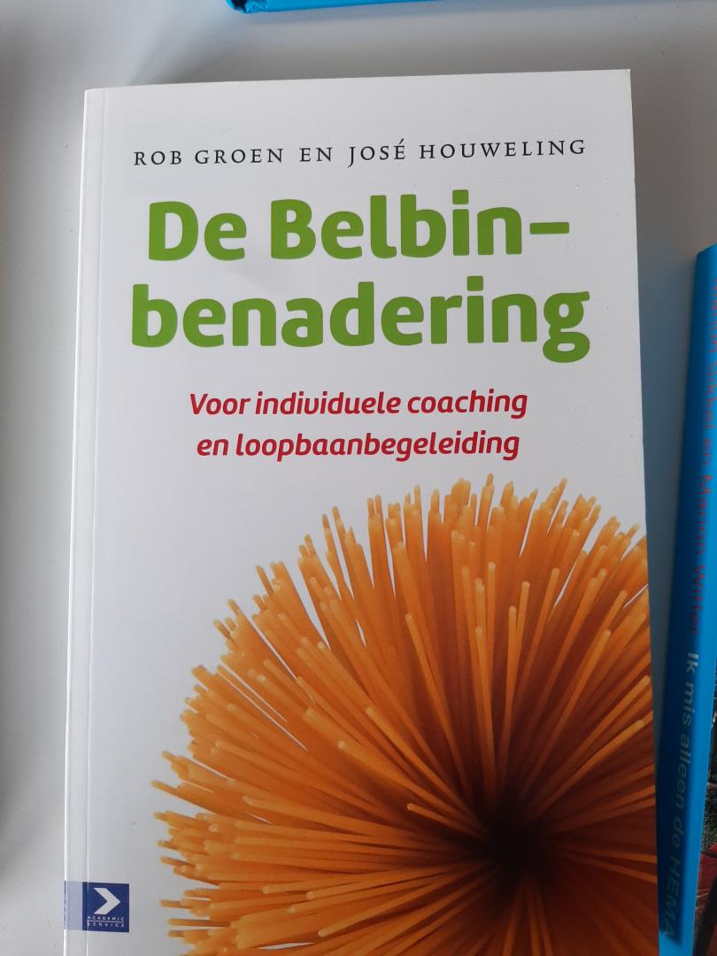 Groen, Rob, Houweling, José - De Belbin-benadering / voor individuele coaching en loopbaanbegeleiding