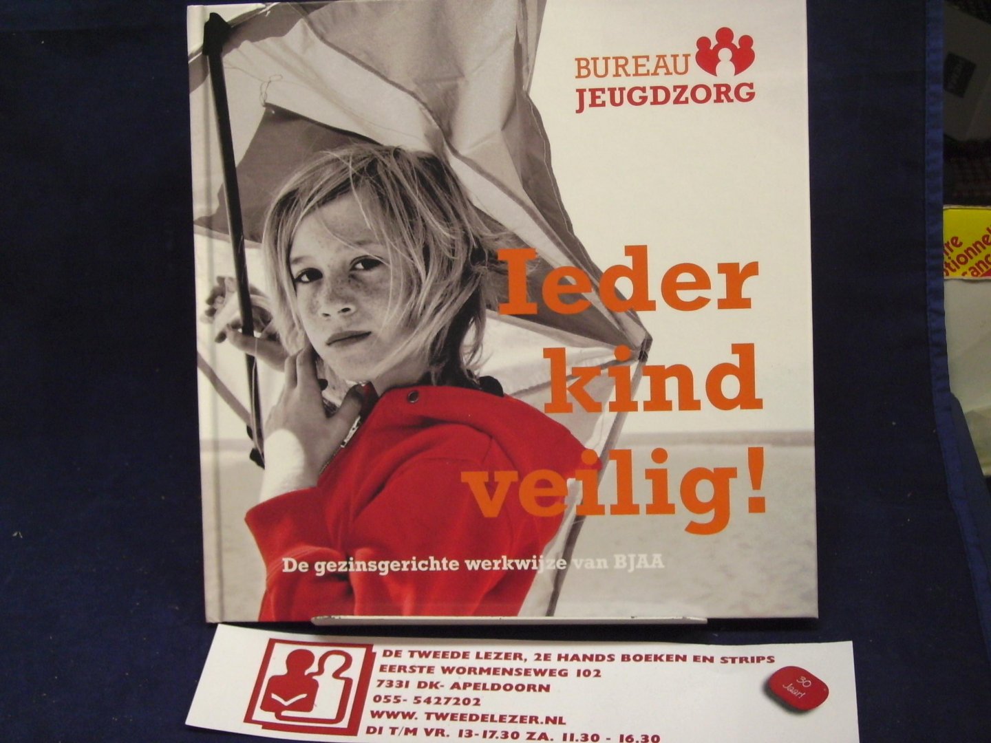 Bureau Jeugdzorg - Ieder kind veilig! / De gezinsgerichte werkwijze van BJAA