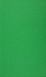 The Garden City Utopia - A Critical Biography of Ebenezer Howard