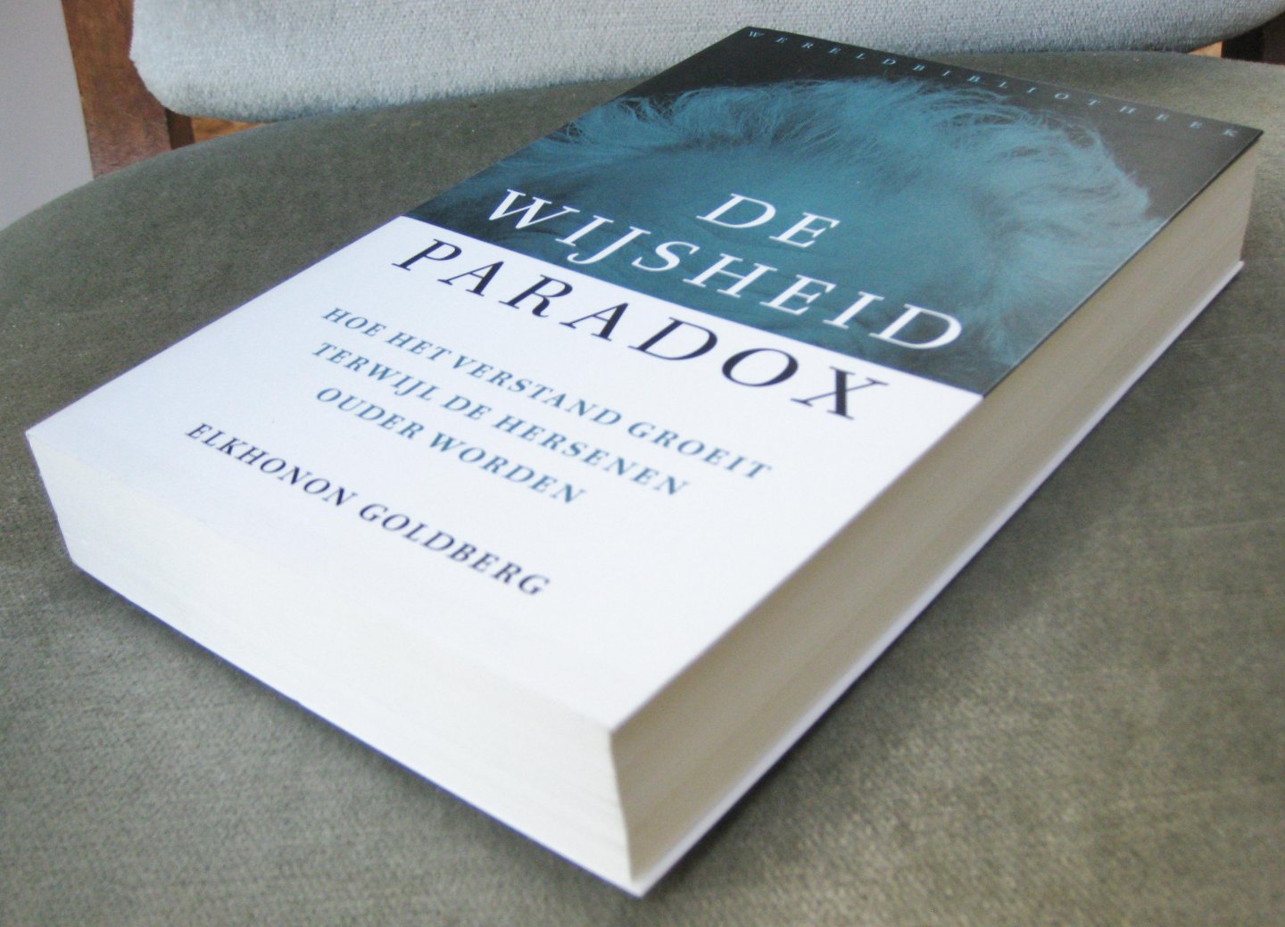 Goldberg, Elkhonon - De Wijsheidparadox   -   Hoe het verstand groeit terwijl de hersenen ouder worden  - De Wijsheid paradox