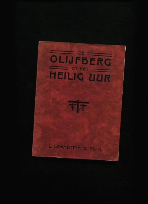 Lammertyn L. - De Olijfberg en het heilig vuur Praktische Wenken