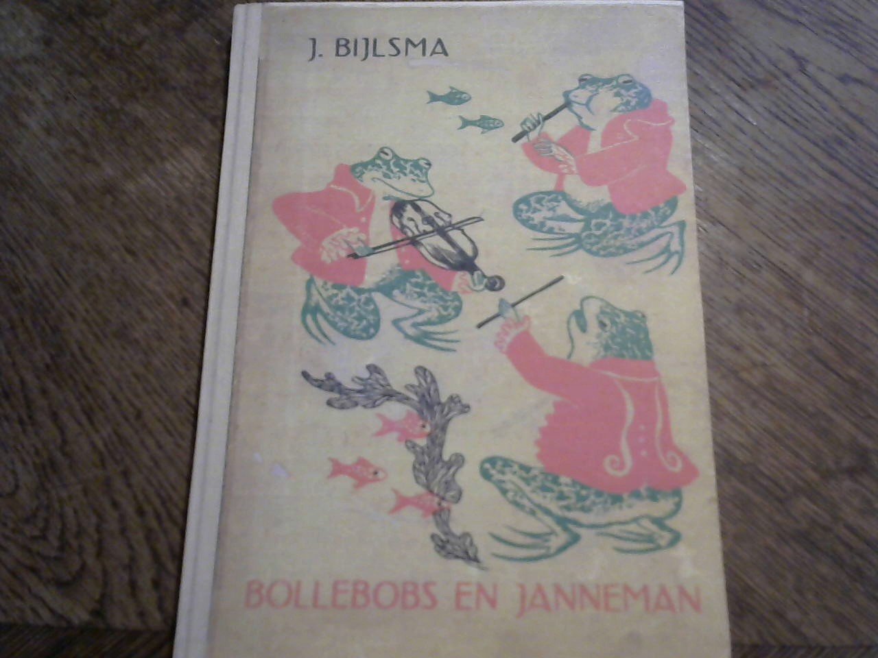 Bijlsma J./ illustraties Rie Kooyman - Bolleboos en Janneman