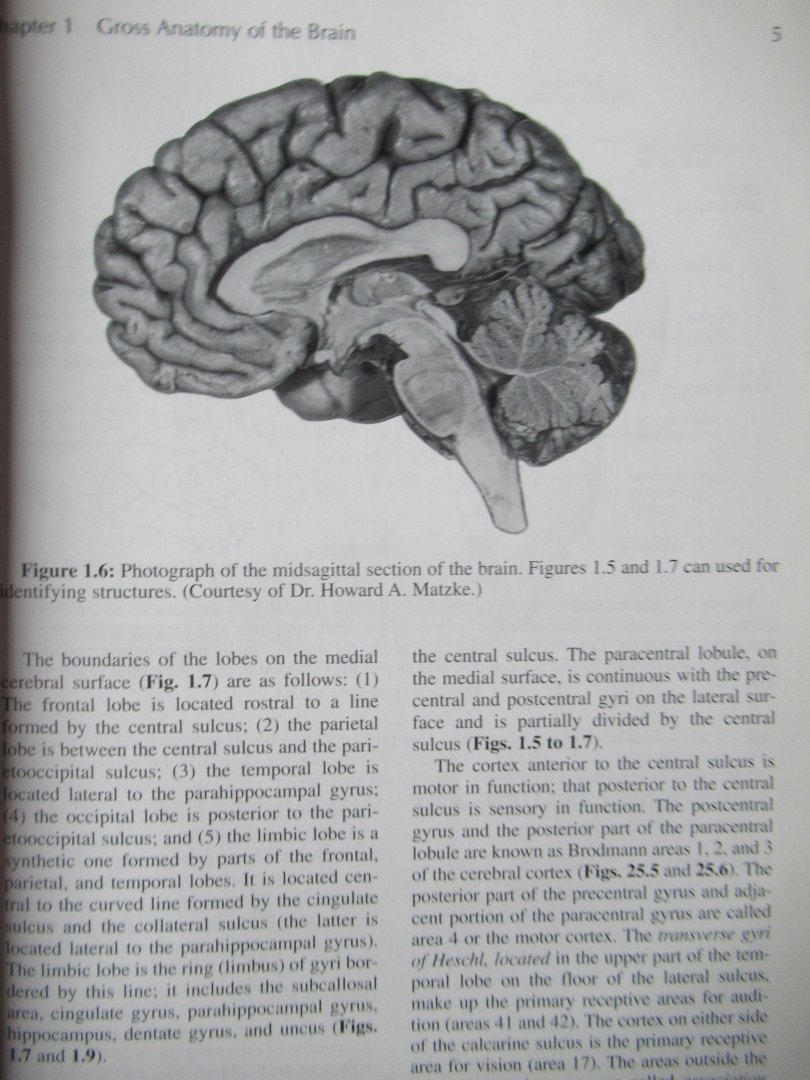Noback, Charles R. - The Human Nervous System / Structure and Function