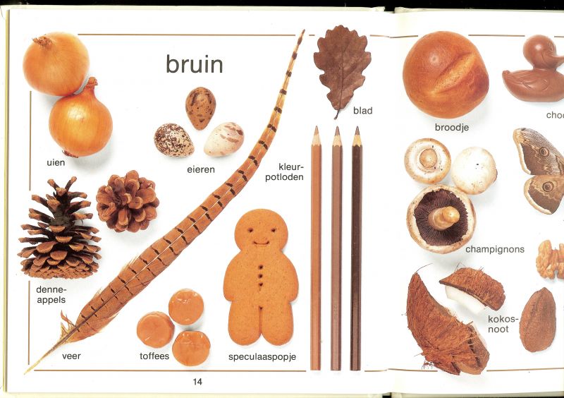 Yorke, Jane & Toni Rann .. Met vele schitterende kleuren illustraties - Een ogenblikje op ... kleuren