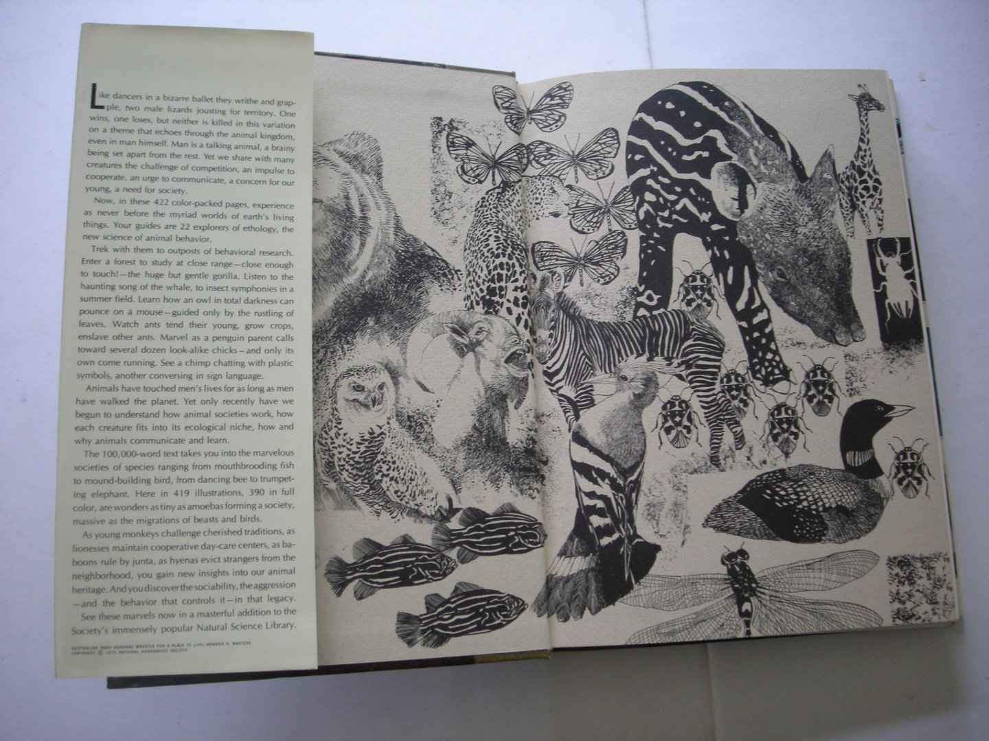 Allen, Thomas B., ed. / Carmichael, L., Manning, A., Fossey, D. and others - The Marvels of Animal Behavior