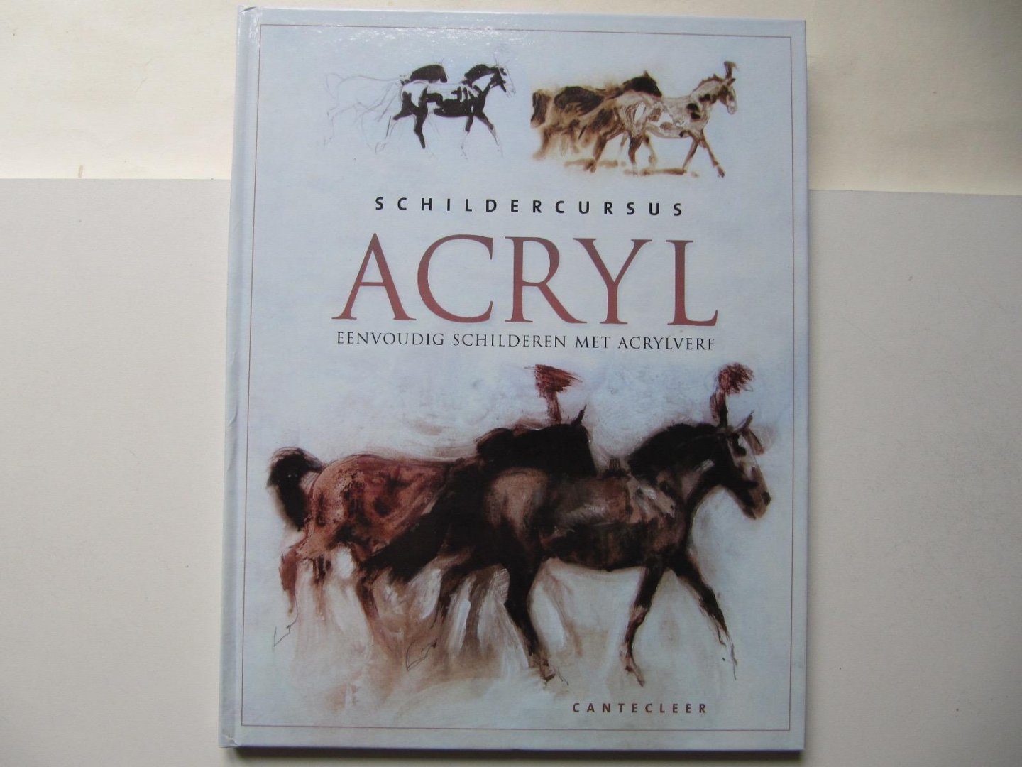 Buthod-Girard, I. - Schildercursus acryl - eenvoudig schilderen met acrylverf