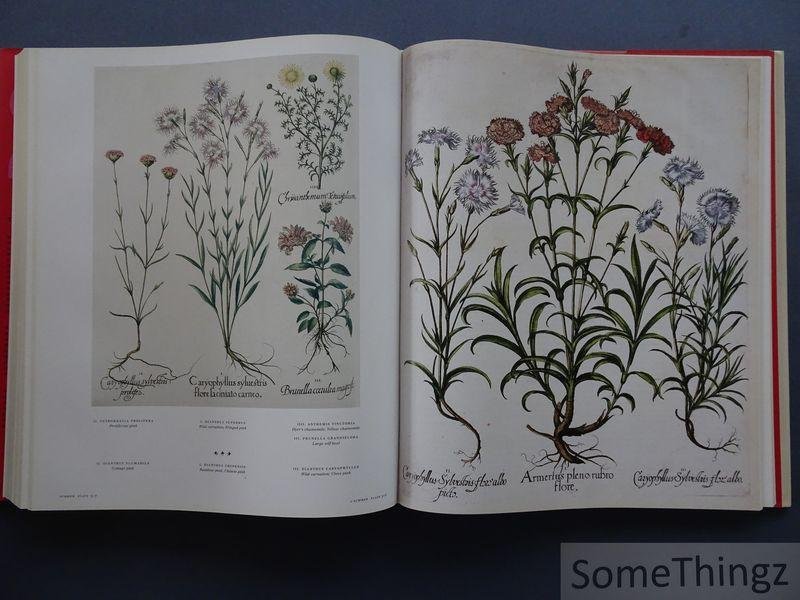 Basilius Besler, Werner Dressendörfer, Klaus Walter Littger. - The Book of Plants. The Complete Plates.
