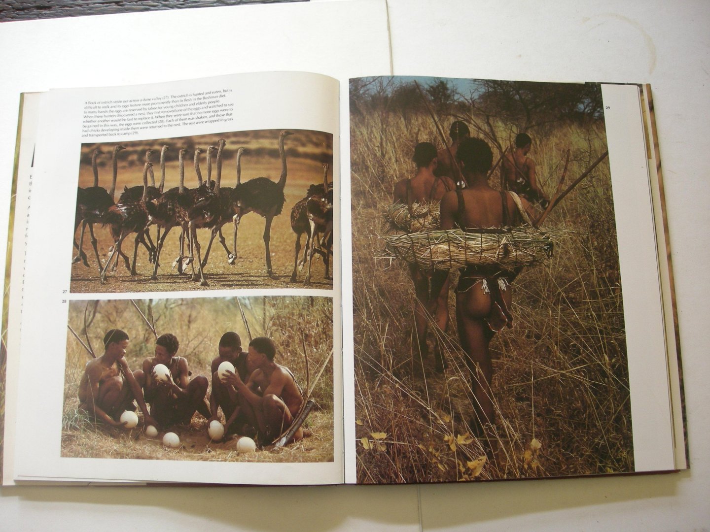 Wannenburgh, A. text / Johnson P., en Bannister, A., photogr. - The Bushmen