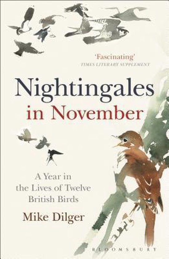 Dilger, Mike - Nightingales in November