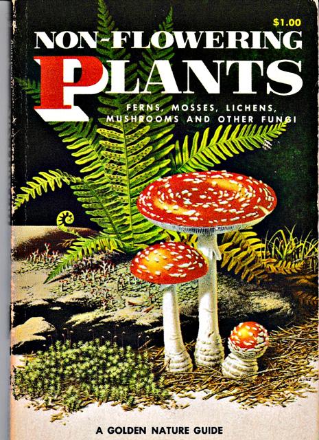Shuttleworth, Floyd S. & Herbert S. Zim - Non-flowering Plants : Ferns, Mosses, Lichens, Mushrooms and other Fungi
