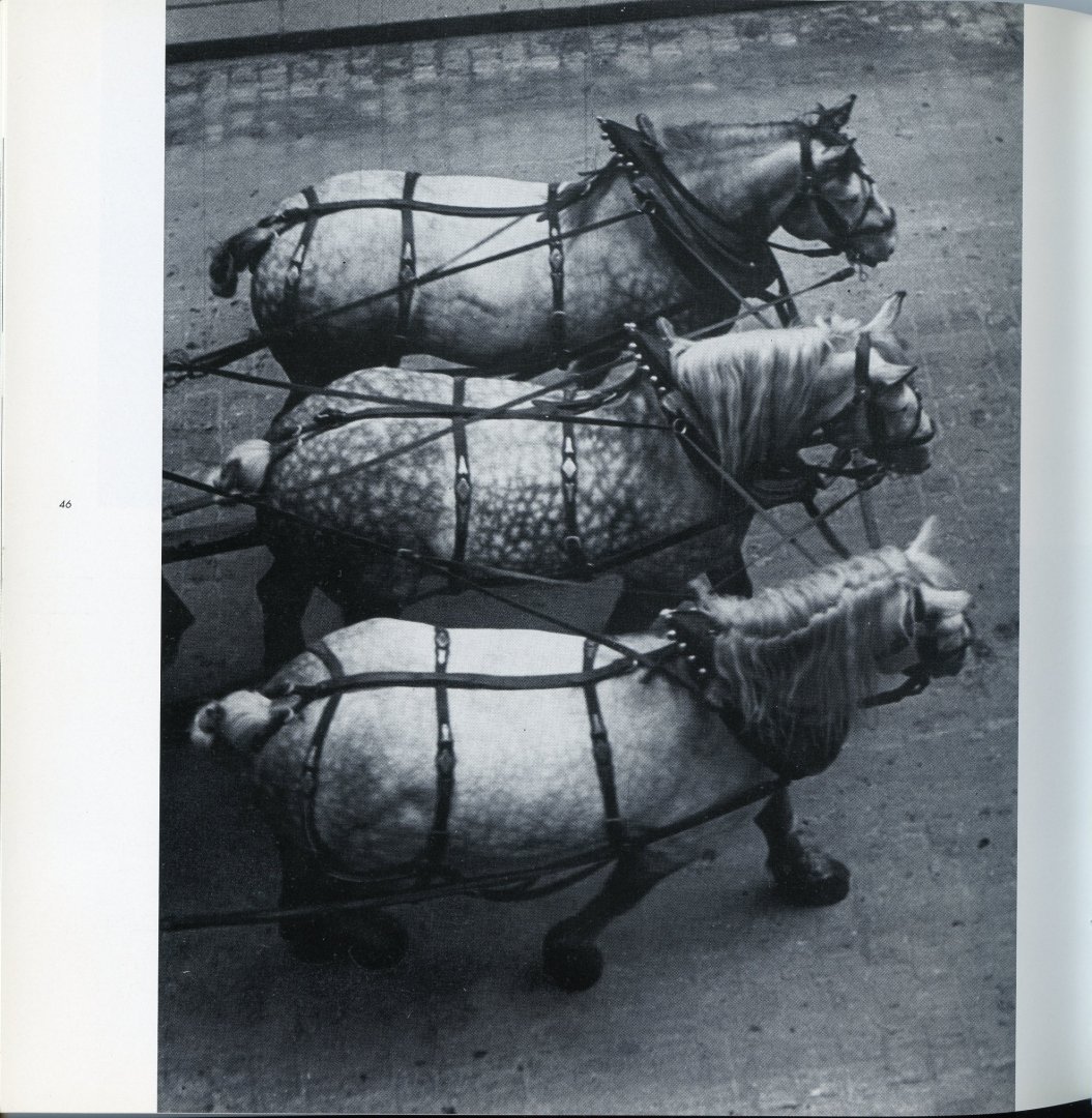 Divendal, Leo - De Paarderuggen van Kertész. Of oponthoud in een vrije val