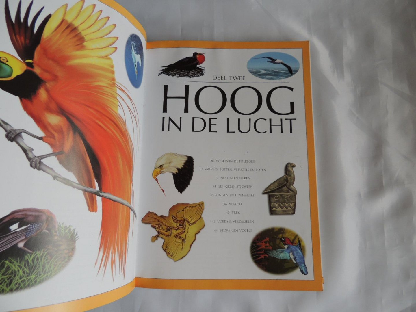 John Farndon; David Ashby - Dieren vragen & en antwoorden