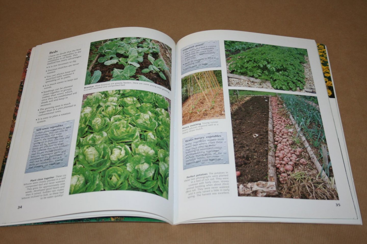 Charlotte Green - Gardening without water --  Creating beautiful gardens using only rainwater