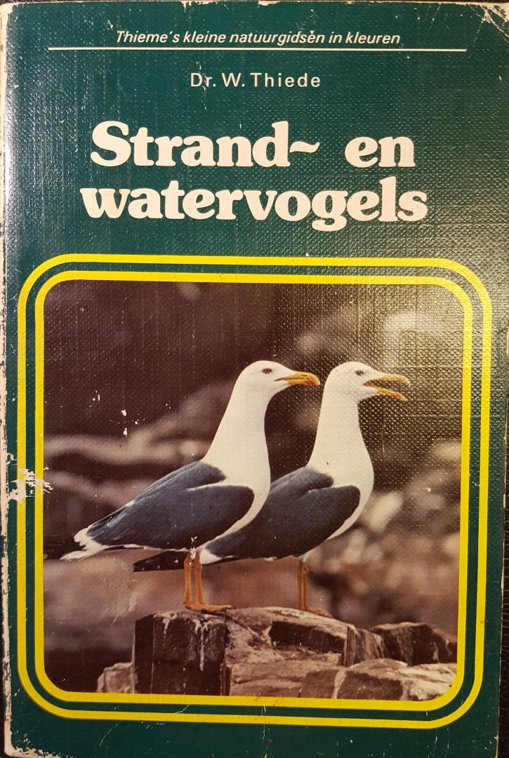 Thiede, W - Strand- en watervogels. Thieme`s kleine natuurgidsen in kleuren