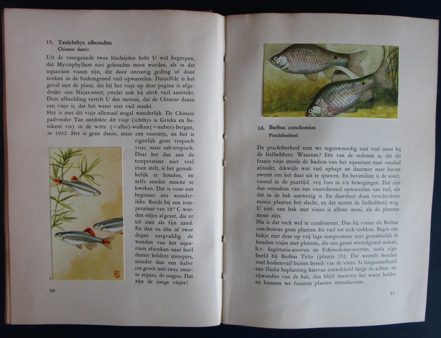 Lodewijks, J.M. - Stille pracht in het tropische aquarium - COMPLEET plaatjesboek met plaatjes naar aquarellen van Rein Stuurman en H. van Kruiningen
