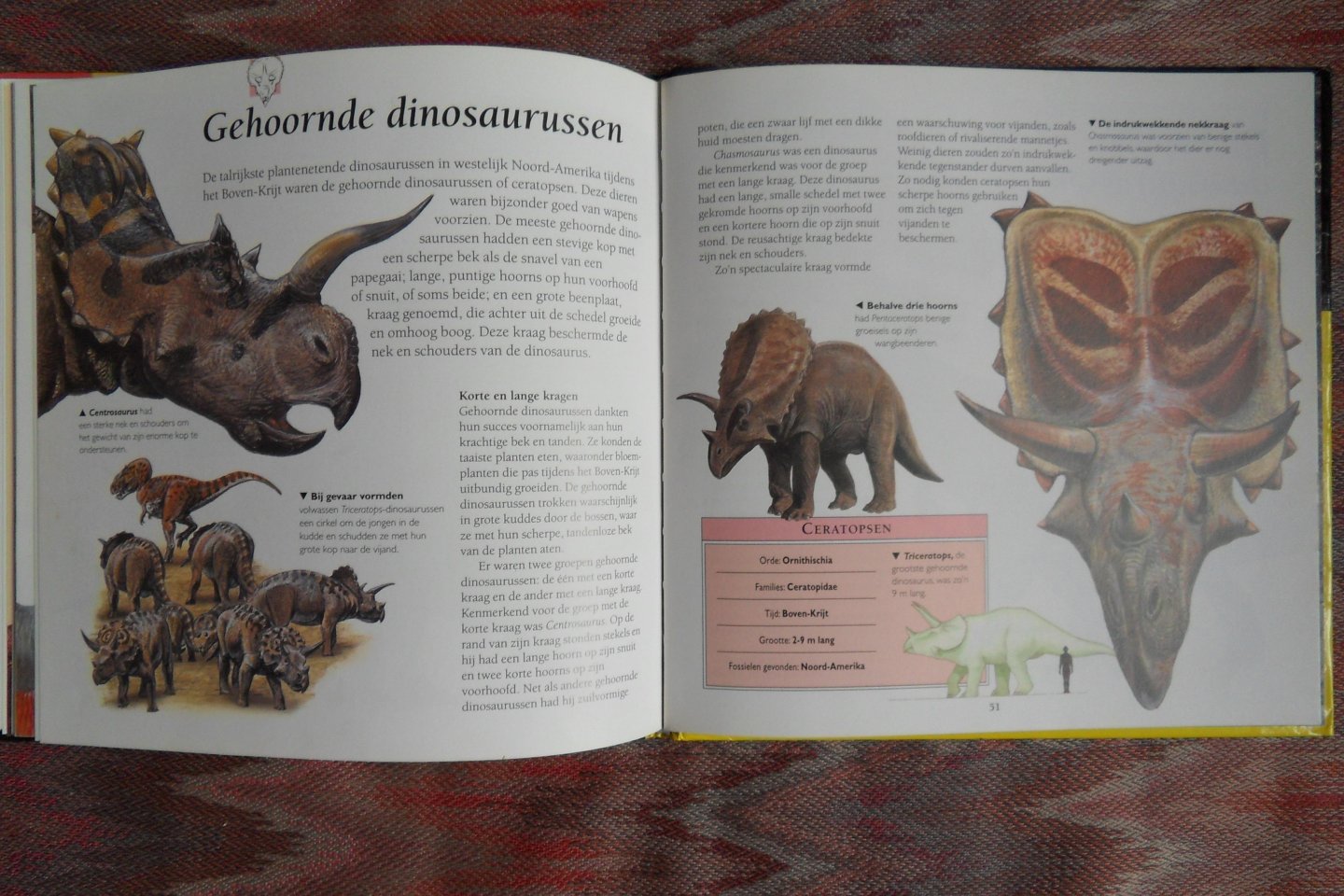 Johnson, Jinny. - De prehistorie verklaard. - Een beginnersboek over de wereld van de dinosaurussen.