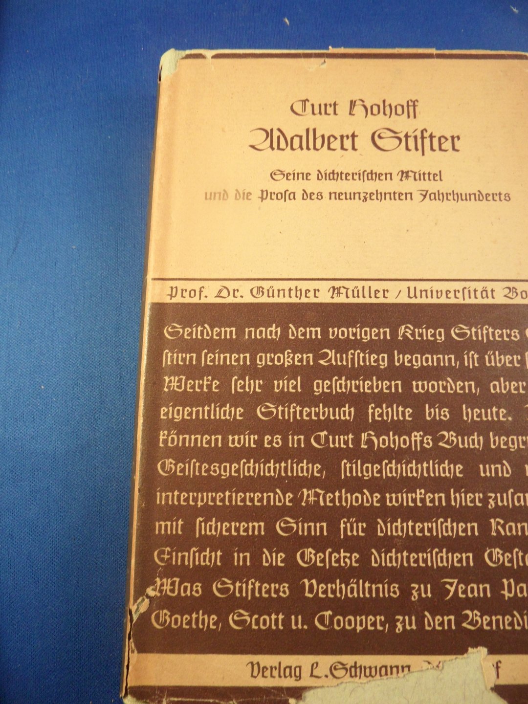 Hohoff, Curt - Adalbert Stifter. Seine dichterischen Mittel und die Prosa des neunzehnten (19) Jahrhunderts