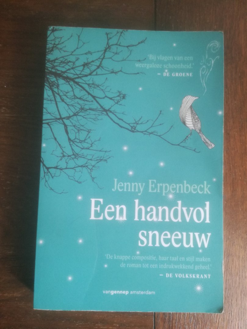 Erpenbeck, Jenny - Een handvol sneeuw