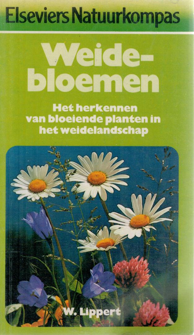 Lippert, Wolfgang - Weidebloemen / Het herkennen van bloeiende planten in het weidelandschap