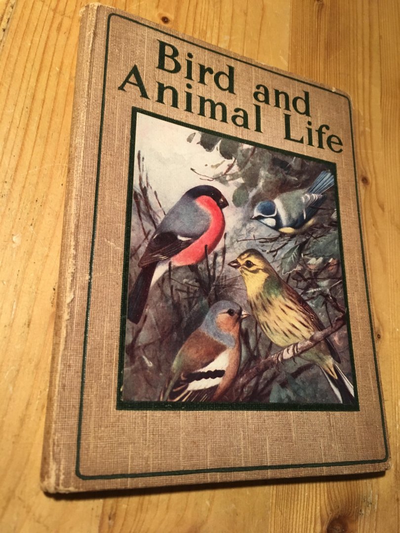 Cameron, Margaret - Bird and Animal Life