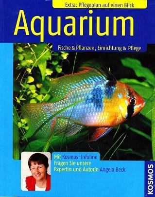 Angela Beck - Aquarium