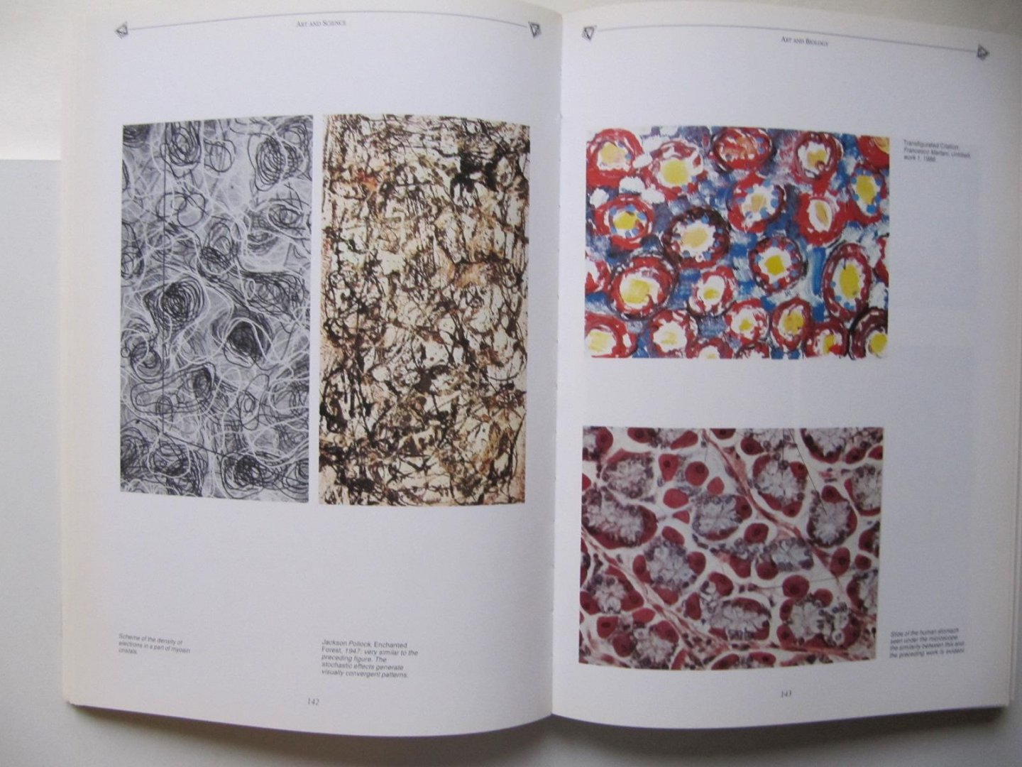 Editor Carlo Pirovano - XLII Esposizione Internazionale D'Arte La Biennale Di Venezia