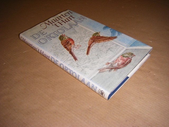 Maarten t Hart - De ortolaan (gebonden uitgave) roman