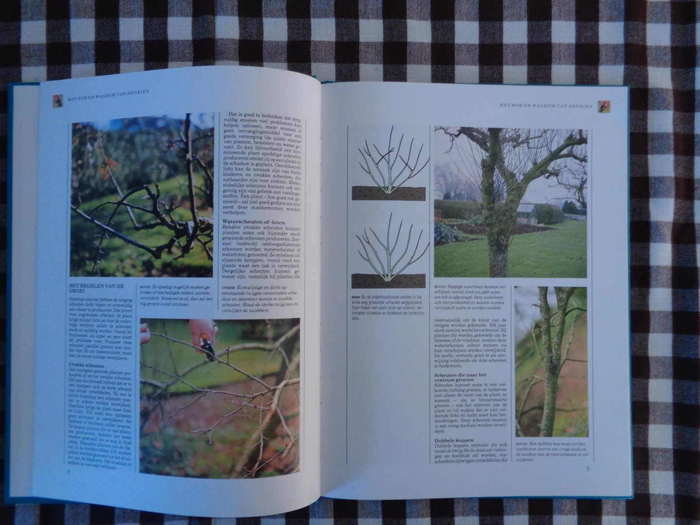 Johns, P. - Praktisch handboek snoeien / druk 1