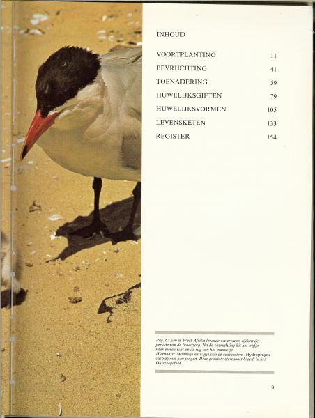 Stuijvenberg, W. van - Wonderen van de voortplanting in de dierenwereld