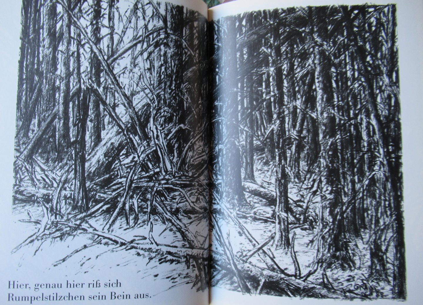 Grass, Günther - Totes Holz. Ein Nachruf