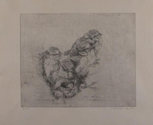 Koene, S(imon). - Vogels