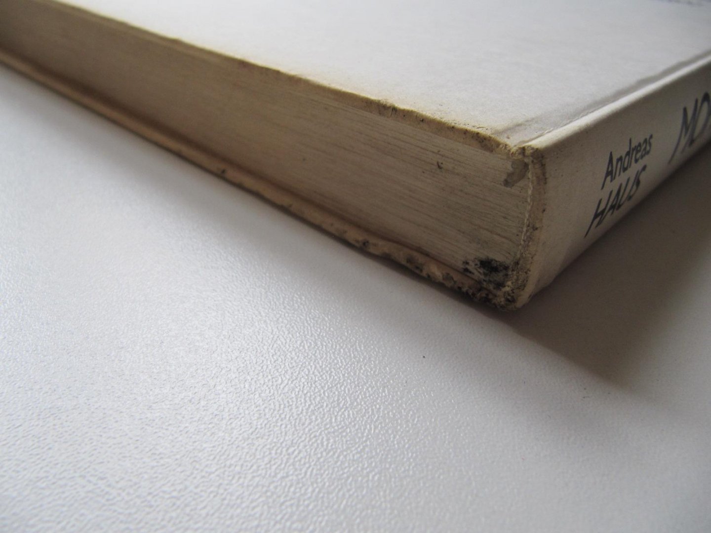 Andreas Haus - Moholy-Nagy, Fotos und Fotogramme