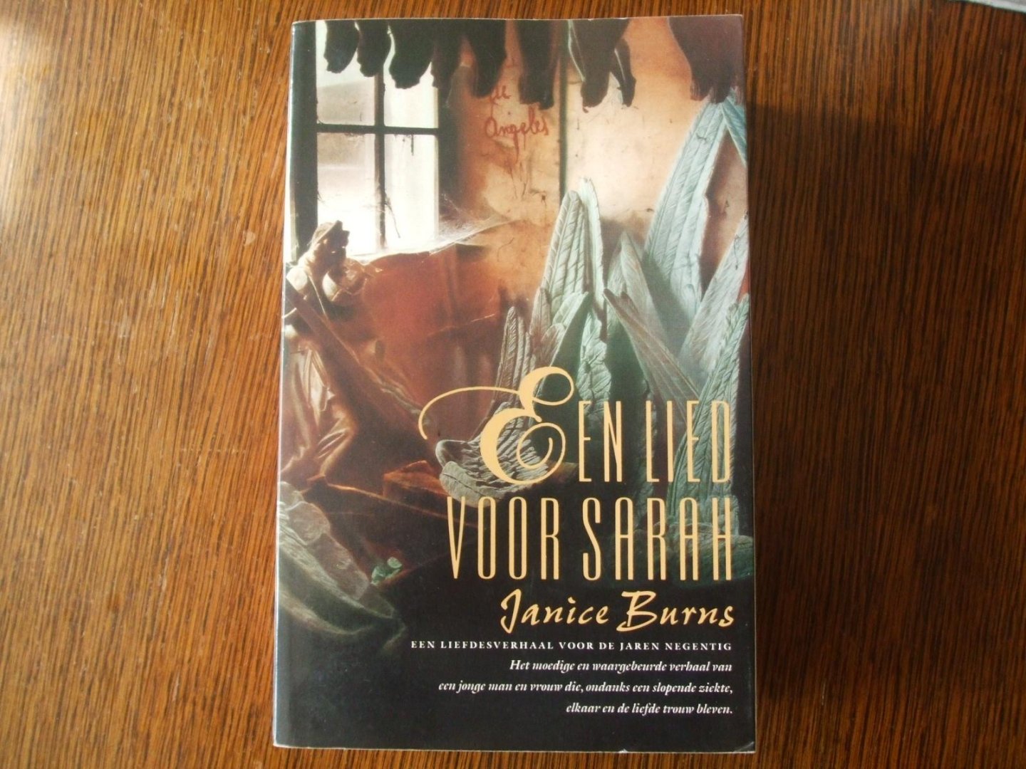 Janice Burns - Een lied voor Sarah