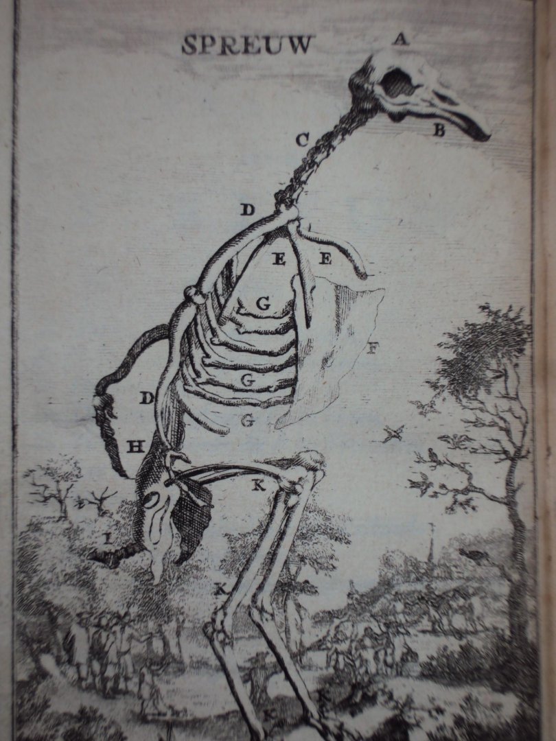 Cornelius van Dyk - Osteologia of nauwkeurige geraamt beschryving van verscheyde dieren