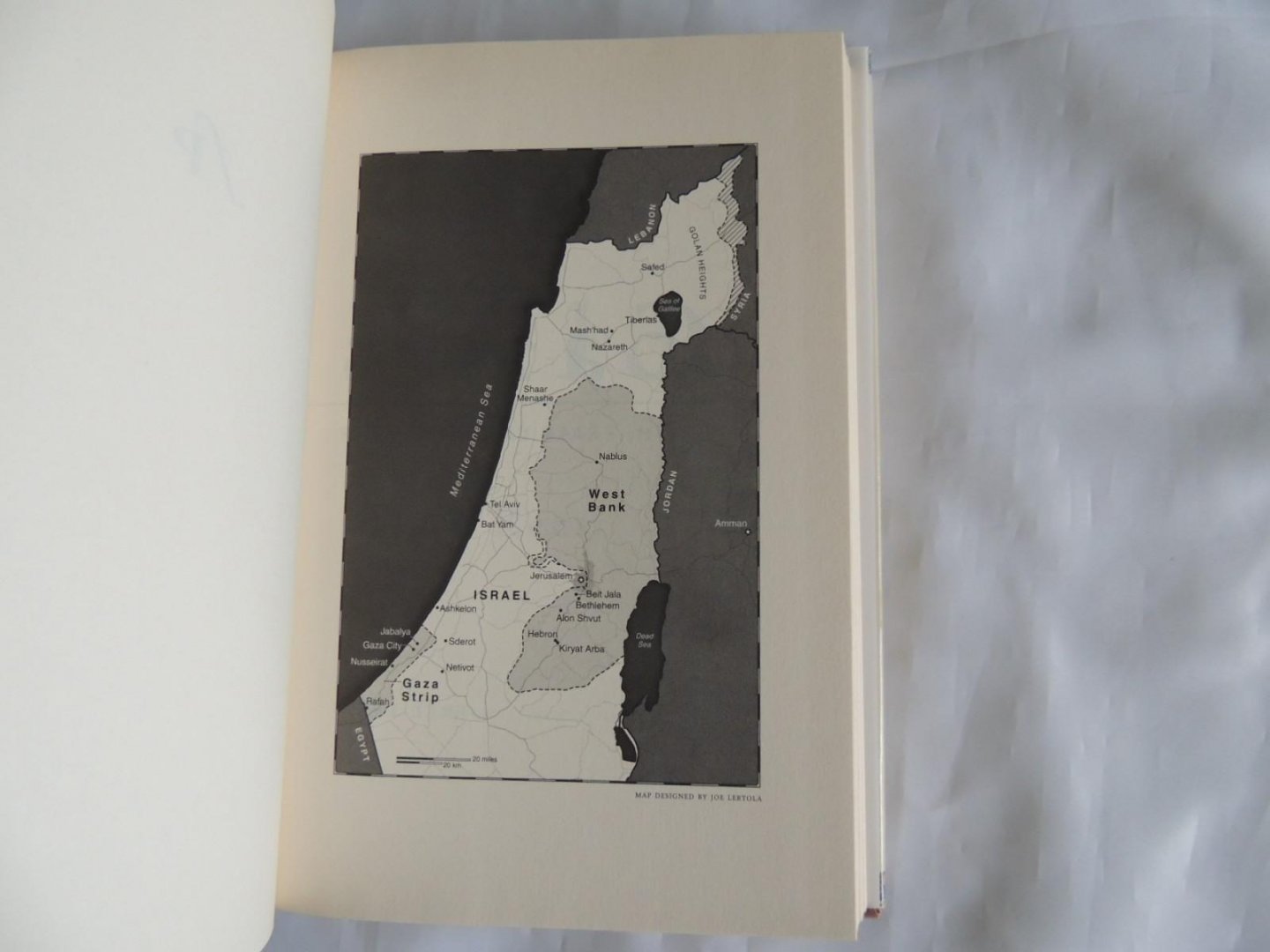 Rees Matt - Cain's field - faith, fratricide and fear in the Middle East.