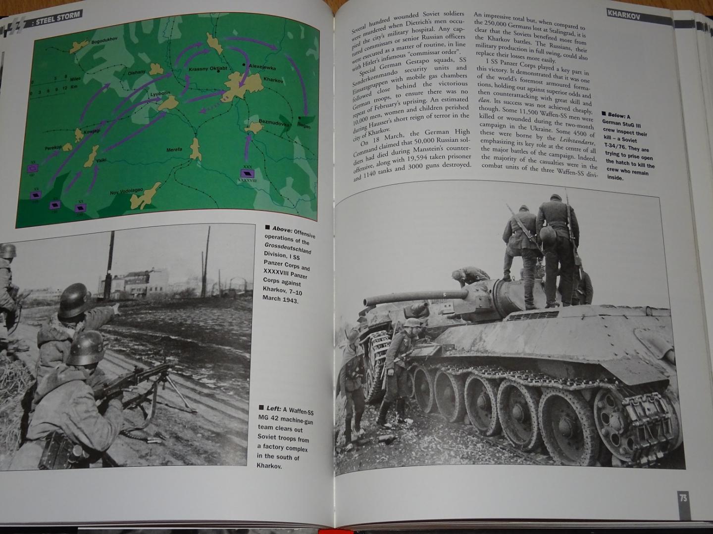 Ripley, Tim - Steel Storm : Waffen-SS Panzer Battles on the Eastern Front 1943 - 1945