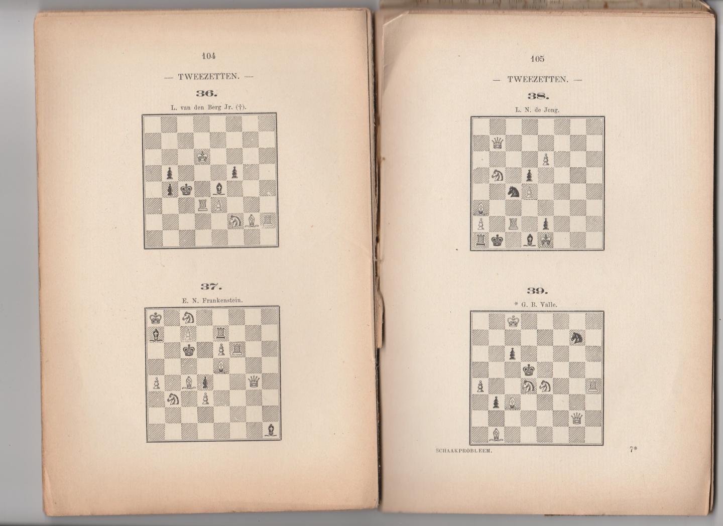 Hertog, H.J. den - Het schaakprobleem theorie en practijk