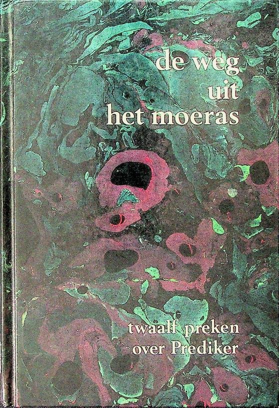  - De weg uit het moeras. Twaalf preken uit Prediker
