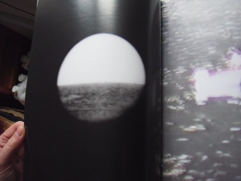 Rinder, L - Searchlight, Consciousness at the millenium