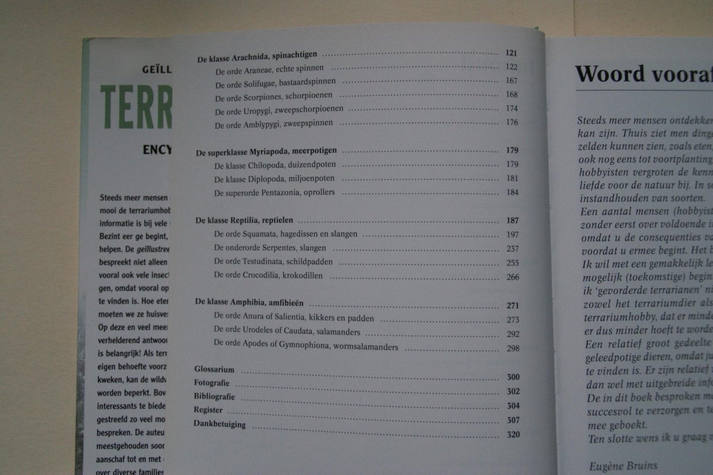 Bruins, Eugene - Geillustreerde Terrarium Encyclopedie reptielen, amfibieen, spinnen, insecten- overzichtelijk per soort gerangschikt  Alles Over VOEDING, HUISVESTING, BEHANDELING, ZIEKTEN, Zelf Kweken