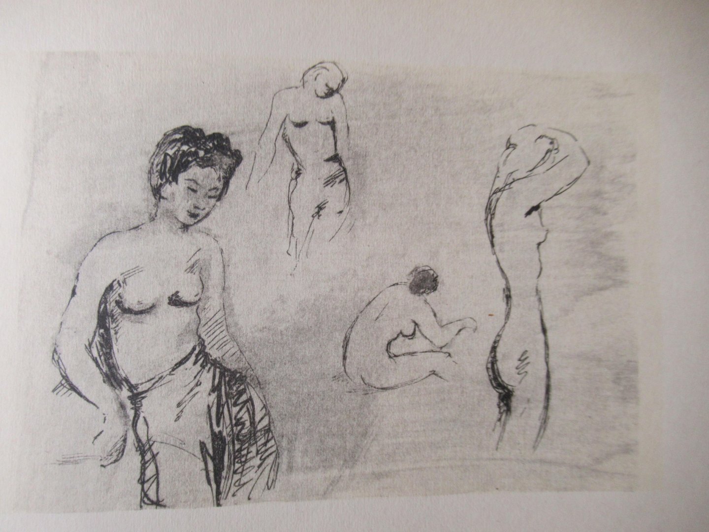 Schwimmer, Eva - Tagebuch in Bildern