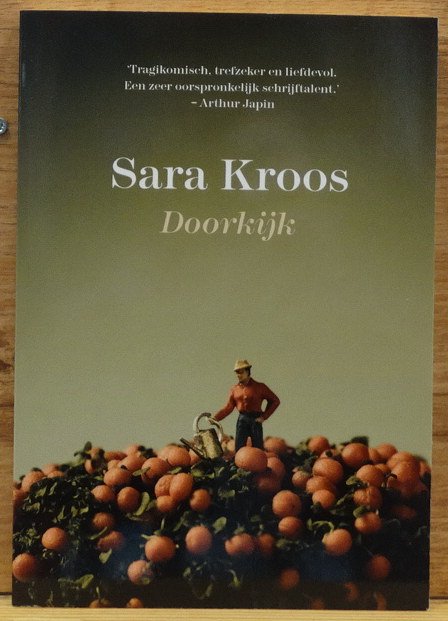 Kroos, Sara - doorkijk