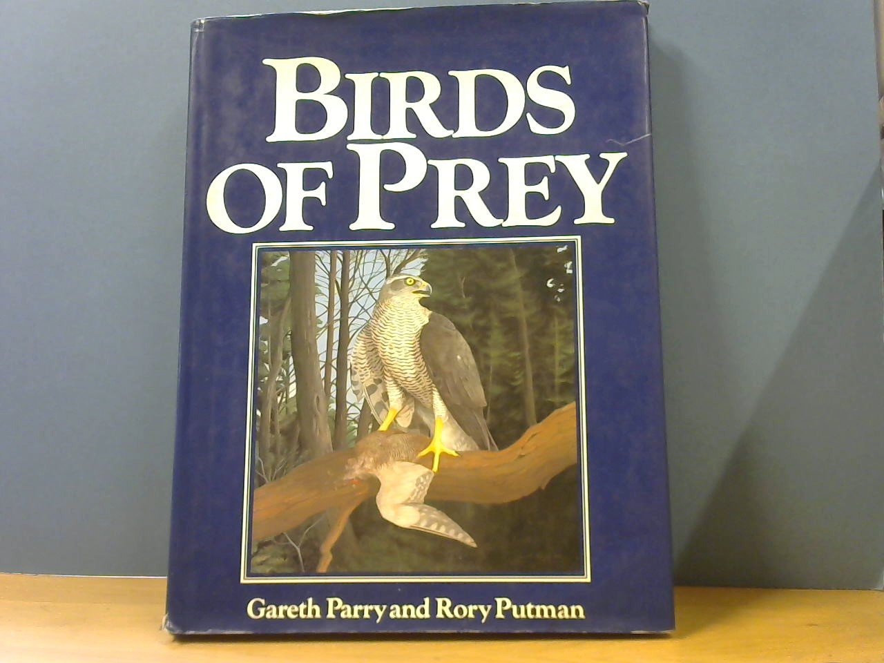 Parry, Gareth and Putman, Rory - Birds of Prey
