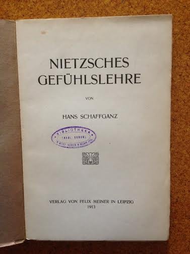 Schaffganz, Hans - Nietzsches gefühlslehre