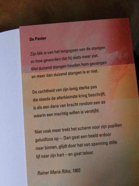 Medema, Henk - De mannen - Mannen en vrouwen naar Gods beeld