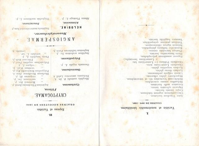 Vries, Hugo de (preface) &  A.J. van Laren ('Le jardinier et chef'). - Catalogue des graines récoltées dans le Jardin botanique de l'Université d'Amsterdam. 1896.