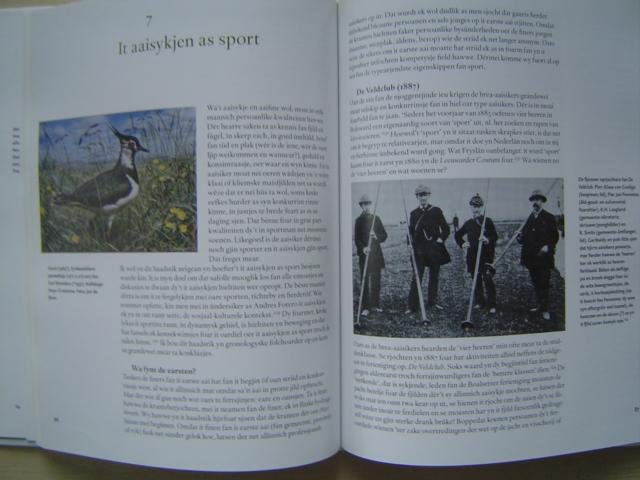 Breuker, Pieter - Ljip en aai yn hert en holle / aaisykjen as folkssport, fêstlein yn wurden en bylden