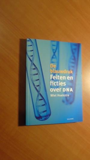 Hoekstra, Wiel - De blauwdruk. Feiten en ficties over DNA
